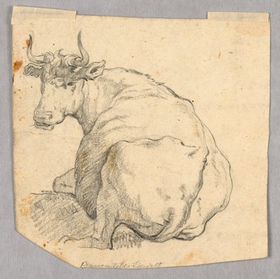 Studie einer Kuh von Unknown artist