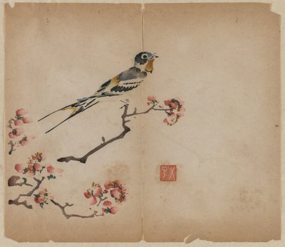 Schwalbe auf blühendem Pfirsichzweig von Unknown artist