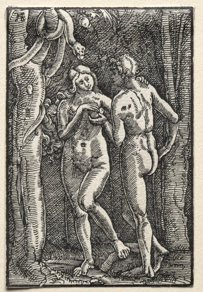 Der Fall und die Erlösung des Menschen von Unknown artist