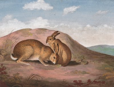 Zwei Hasen: Auf einem Hügel von Unknown artist