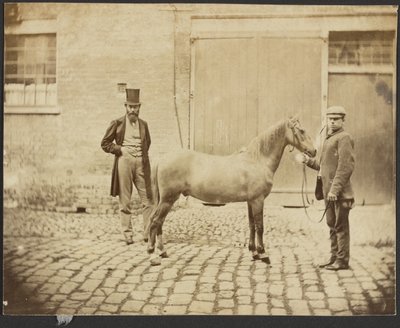 [Zwei Männer und ein Pferd] von Unknown artist