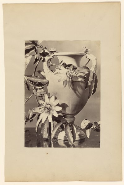 Vase mit Passionsblumen von Unknown artist