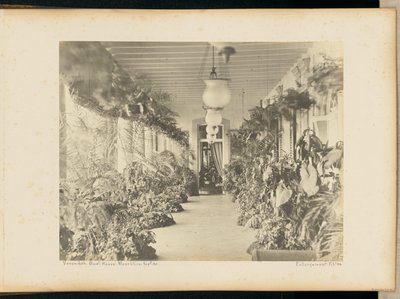 Veranda. Regierungshaus. Mauritius. von Unknown artist