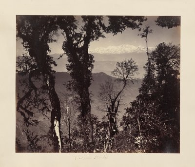 Blick von Senchal von Unknown artist