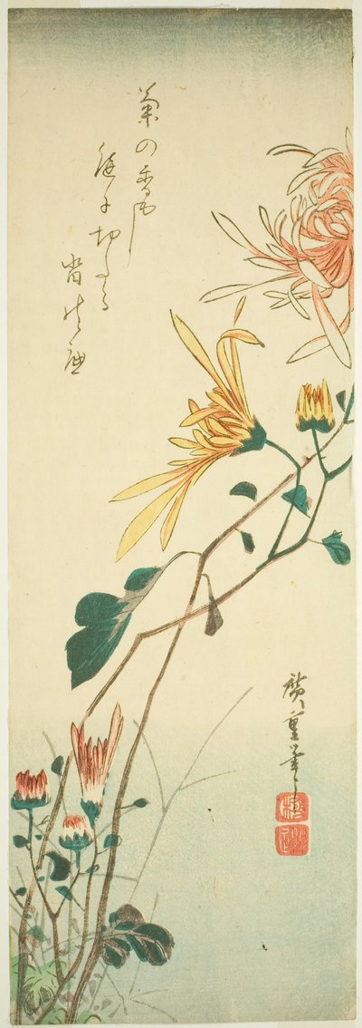 Chrysanthemen von Utagawa Hiroshige