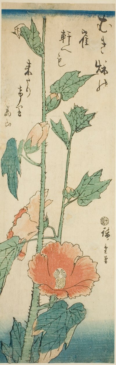 Hibiskus von Utagawa Hiroshige