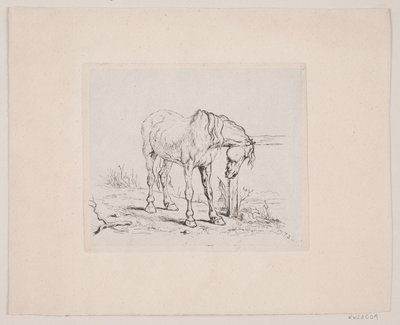Ein altes Pferd von Valdemar Irminger