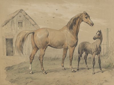 Stute und Fohlen, 19. Jahrhundert von Victor Adam