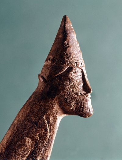 Krieger von Viking Viking