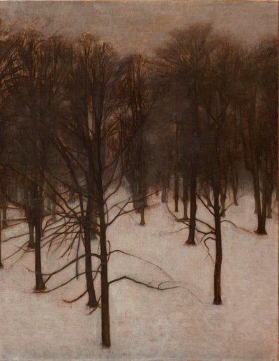 Sondermarkenpark im Winter von Vilhelm Hammershoi