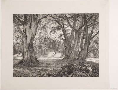 Das Innere eines Waldes von Vilhelm Kyhn