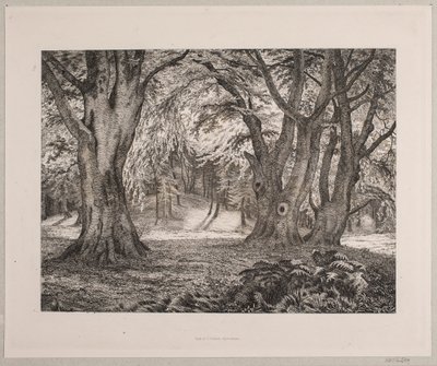 Das Innere eines Waldes von Vilhelm Kyhn