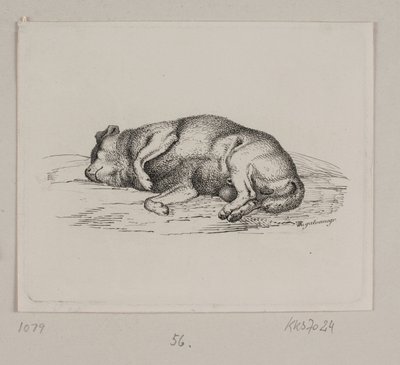 Ein liegender Hund von Vilhelm Kyhn