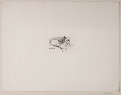 Hundekopf von Vilhelm Kyhn