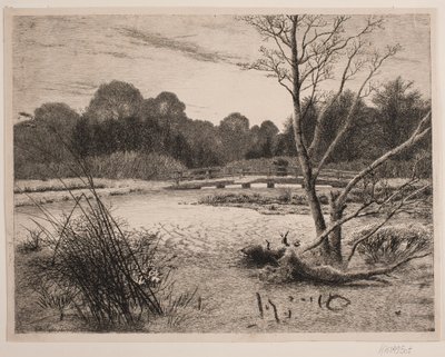 Sonnenuntergang in einem Wald von Vilhelm Kyhn