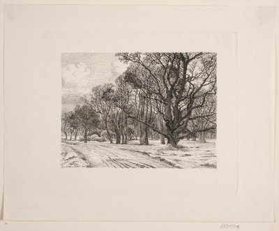 Winter im Wald von Vilhelm Kyhn