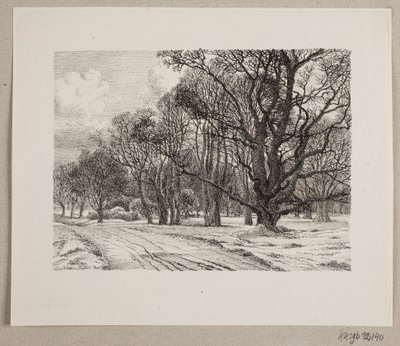 Winter im Wald von Vilhelm Kyhn