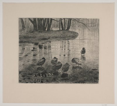 Enten von Vilhelm Th. Fischer