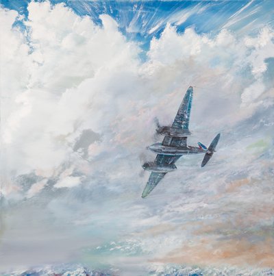 D.H. Mosquito, 2016 von Vincent Alexander Booth
