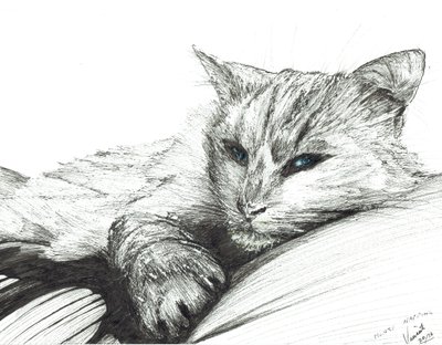 Monty, schlafend, 2016 von Vincent Alexander Booth