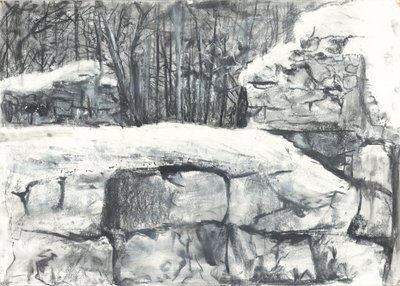 Mauer im Wald Osmotherley von Vincent Alexander Booth