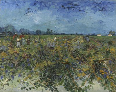 Der grüne Weinberg von Vincent van Gogh
