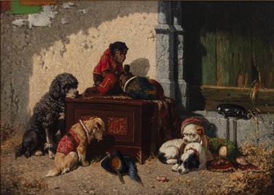 Zirkusgefährten von Vincent de Vos