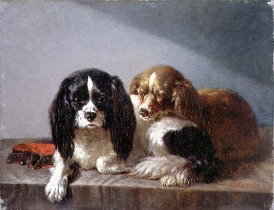 King-Charles-Spaniels von Vincent de Vos