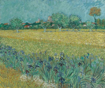 Feld mit Blumen bei Arles von Vincent van Gogh