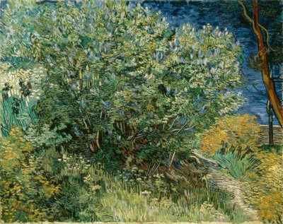 Fliederstrauch von Vincent van Gogh