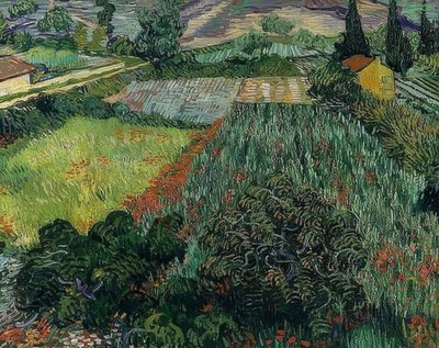 Mohnfeld von Vincent van Gogh
