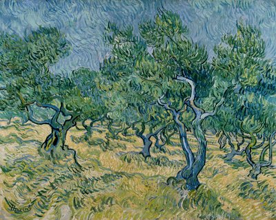 Olivenhain von Vincent van Gogh