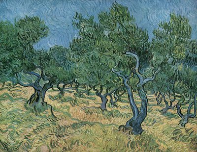 Olivenhain von Vincent van Gogh