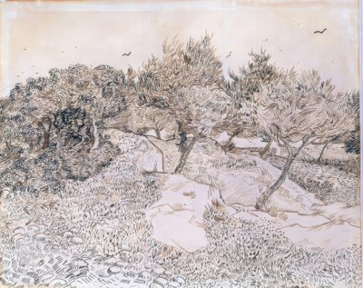 Olivenbäume in Montmajour von Vincent van Gogh