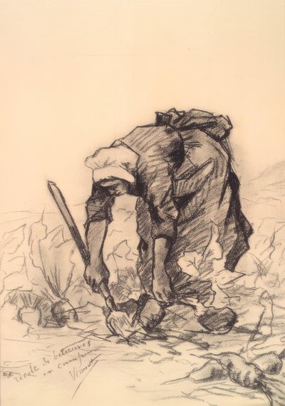 Rübenstecherin von Vincent van Gogh
