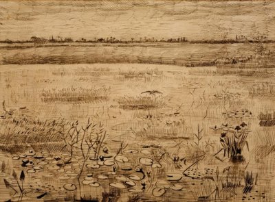 Sumpflandschaft mit Wasserlilien von Vincent van Gogh
