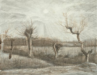 Kaulquappen von Vincent van Gogh