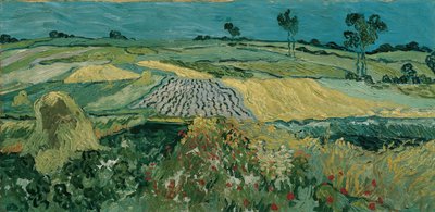 Die Ebene von Auvers, 1890 von Vincent van Gogh