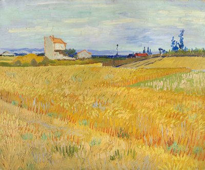 Weizenfeld (Champs de blé) von Vincent van Gogh