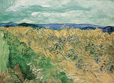 Weizenfeld mit Kornblumen von Vincent van Gogh