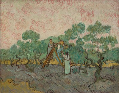 Frauen beim Olivenpflücken von Vincent van Gogh