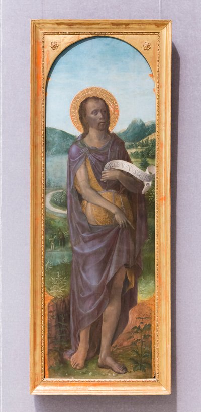 Johannes der Täufer von Vincenzo Foppa
