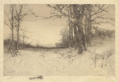 Mittwinter von W.C. Bauer
