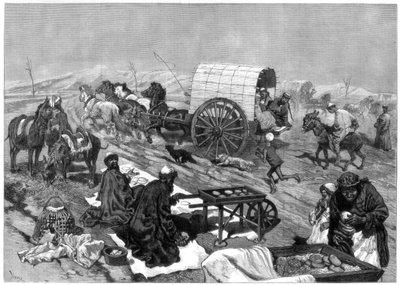 Der Damenomnibus, Kaschgar, Zentralasien, 1875 von W. Palmer