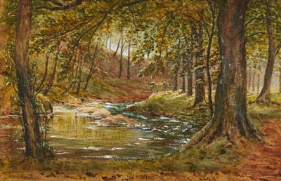 Eine Waldlichtung von Waller Hugh Paton