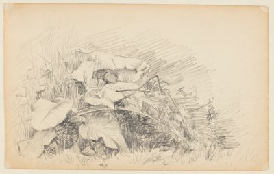 Studie von Gras und Pflanzen von Walter Clark