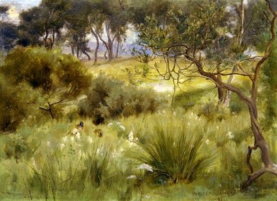 Ein Wald in Redesdale von Walter John James