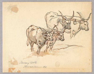 Studie von Rindern in der Toskana von Walter Shirlaw