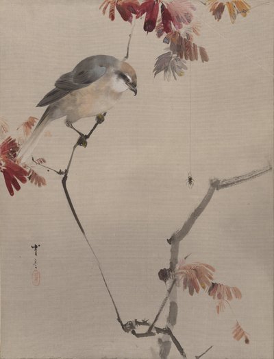 Vogel auf einem Ast beobachtet eine Spinne, ca. 1887 von Watanabe Seitei