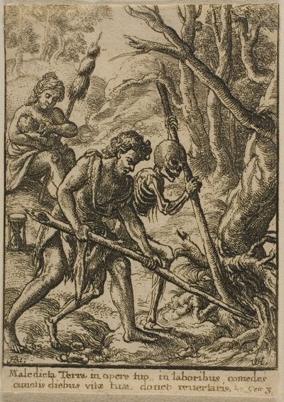 Adam pflügt von Wenceslaus Hollar